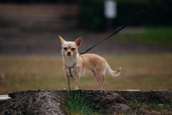 Engagez-vous : Découvrez comment soutenir la lutte contre les maladies rares !